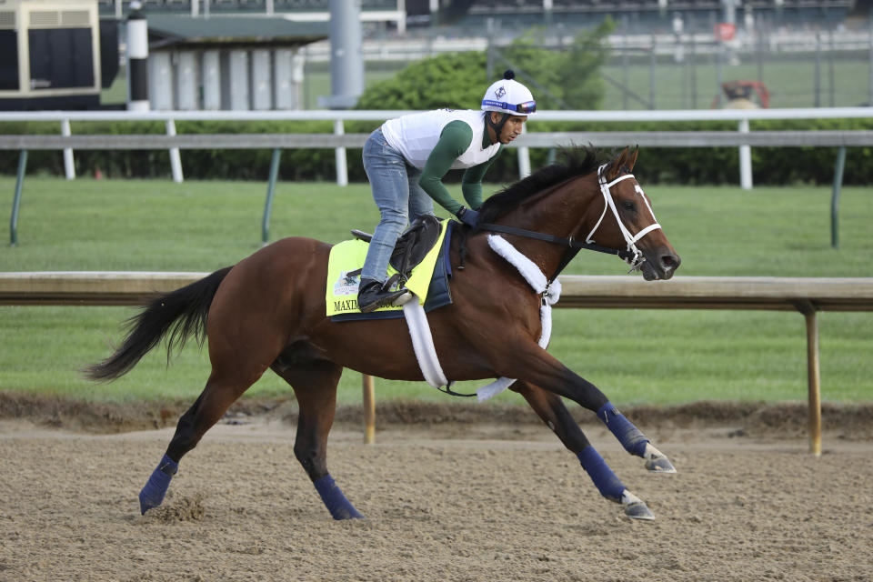 FILE - In this May 2, 2019, file photo, Maximum Security is seen during a morning training at Churchill Downs in Louisville, Ky. Maximum Security will try to move to the top of the 3-year-old thoroughbred division when he takes on scorching heat and a challenging field in the $1 million Haskell Invitational on Saturday, July 20, 2019, in Oceanport, N.J. (AP Photo/Gregory Payan, File)