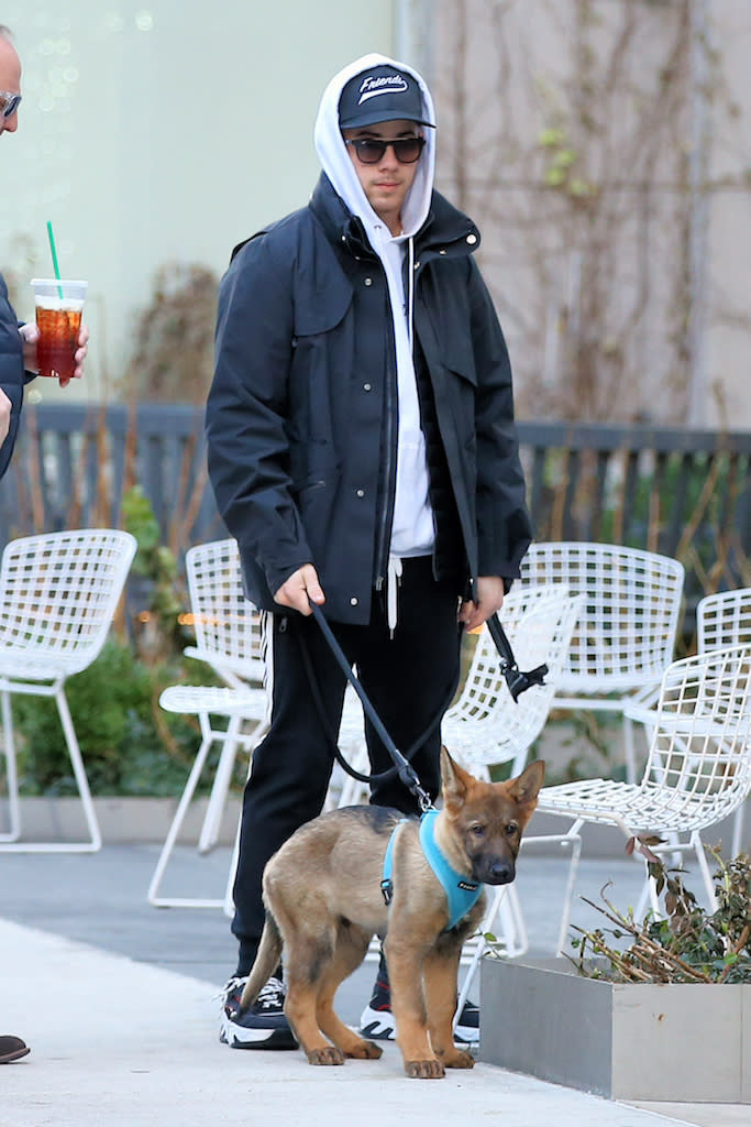 Singer Nick Jonas walks his new German Shepherd dog Gino Jonas in New York City Pictured: Nick Jonas Ref: SPL5132520 301119 NON-EXCLUSIVE Picture by: Christopher Peterson / SplashNews.com Splash News and Pictures Los Angeles: 310-821-2666 New York: 212-619-2666 London: +44 (0)20 7644 7656 Berlin: +49 175 3764 166 photodesk@splashnews.com World Rights