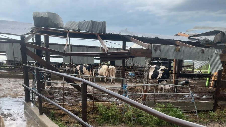 A storm damaged buildings at Hildebrand Farms Dairy on June 28, 2024. (Courtesy Hildebrand Farms Dairy)