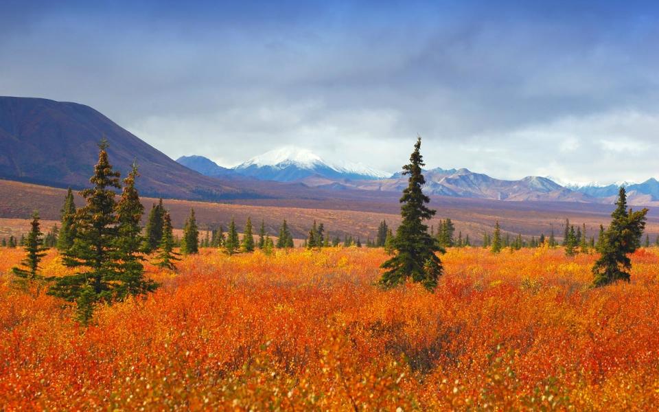 The 10 Most Beautiful National Parks in the U.S., According to Two Photographers Who Visited Them All