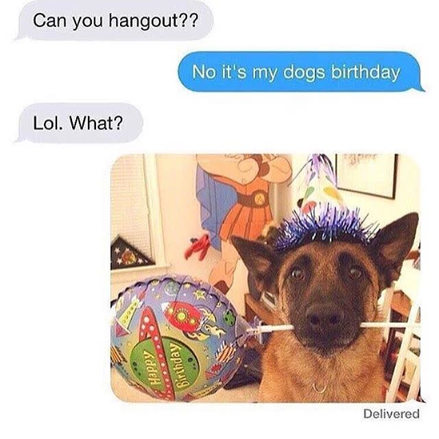 happy birthday meme dog