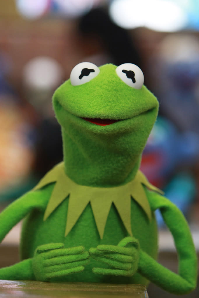 Kermit the Frog (Photo: Neilson Barnard)