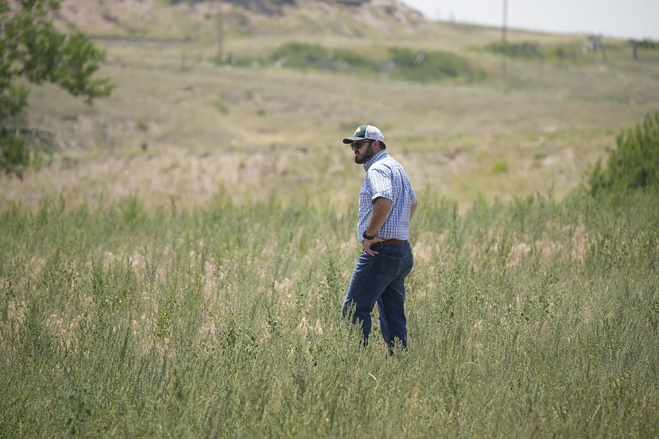 In this Monday, July 26, 2021, photograph, Cole Gustafson, a water resource administrator for the city of Greeley, Colo., Water Department, walks in a meadow to find a well head on the Terry Bison Ranch near Carr, Colo. Figures released this month show that population growth continues unabated in the South and West, even as temperatures rise and droughts become more common. That in turn has set off a scramble of growing intensity in places like Greeley to find water for the current population, let alone those expected to arrive in coming years. (AP Photo/David Zalubowski)