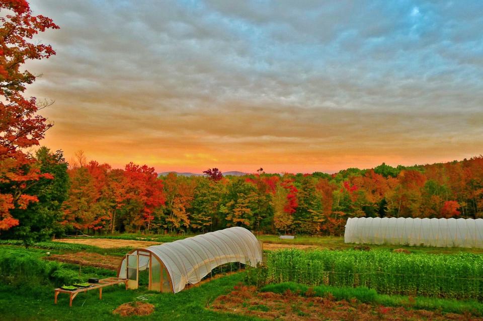 Soul Fire Farm in Albany, N.Y., is 80 acres of land owned and operated by farmer and author Leah Penniman.