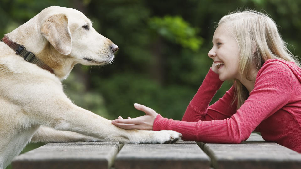 Girl talking to her dog over the table