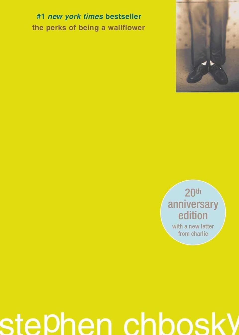 Here Are the Top Books Banned by K-12 Schools - 6. \u2018The Perks of Being a Wallflower\u2019
