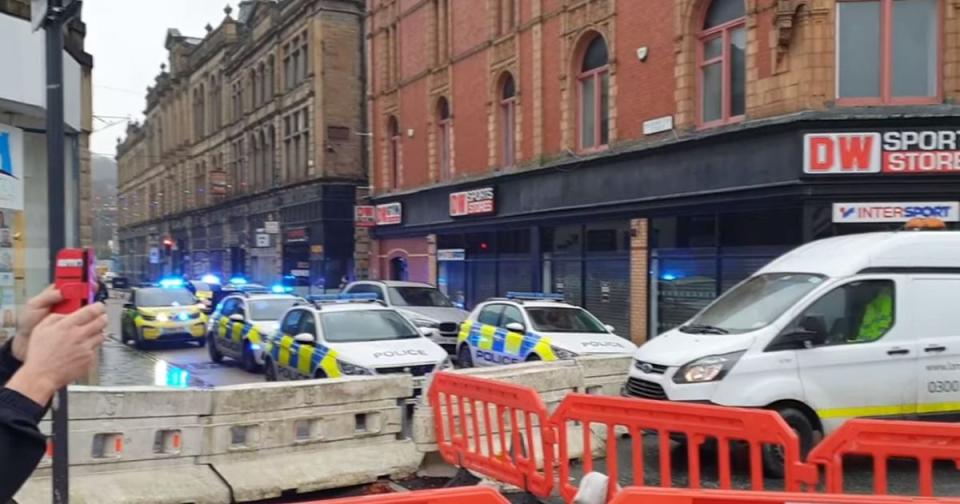 A line of police cars near the store. (Reach)