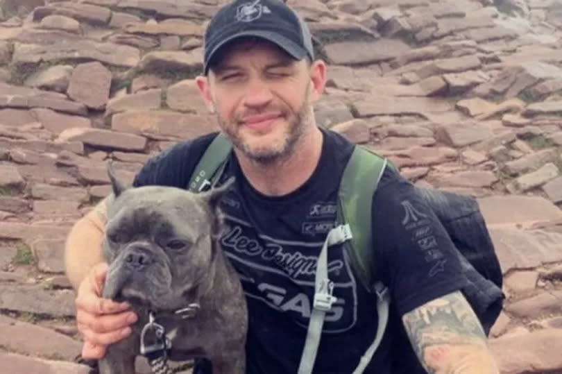 Tom Hardy and his French Bulldog Blue