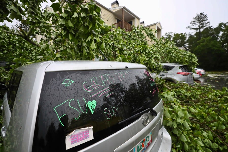 A car is covered by a tree outside an apartment complex in Tallahassee, Fla., Friday, May 10, 2024. Powerful storms bringing the threat of tornadoes continued to slam several southern states early Friday, as residents cleared debris from deadly severe weather that produced twisters in Michigan, Tennessee and other states. Some of the strongest storms early Friday rolled into Tallahassee (AP Photo/Phil Sears)