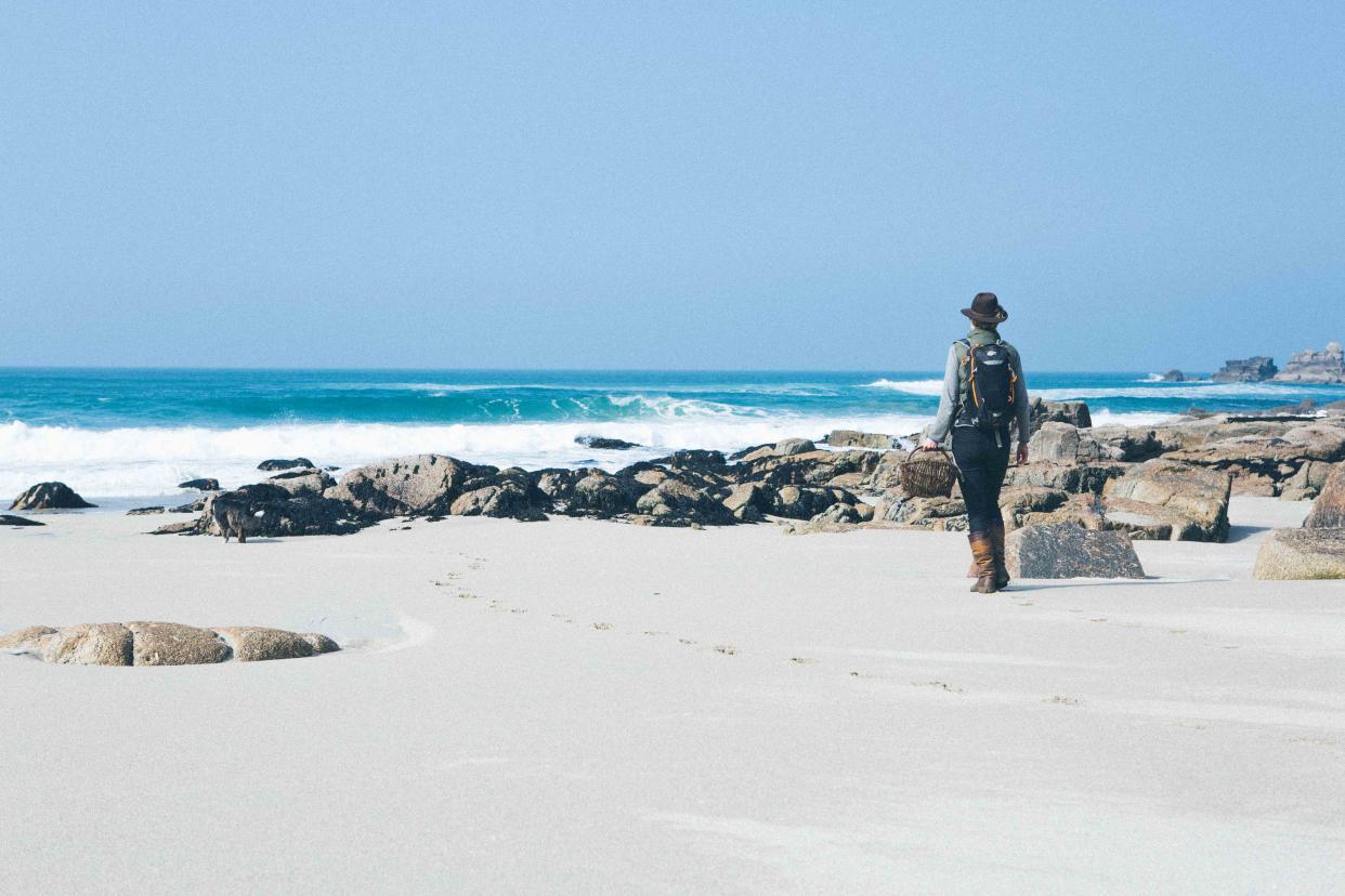 Foraging on the seashore in Cornwall