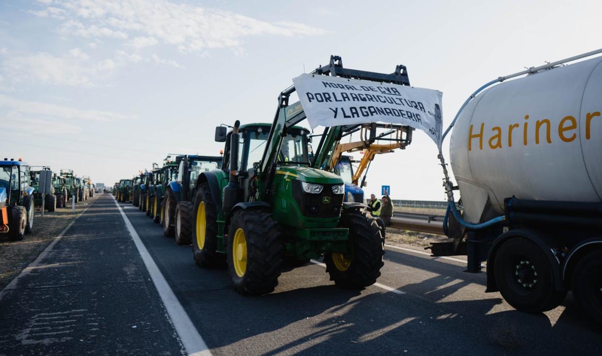 <a href="https://www.shutterstock.com/es/image-photo/manzanres-spain-02-06-2024-farmers-2422546805" rel="nofollow noopener" target="_blank" data-ylk="slk:Pedro Pascual / Shutterstock;elm:context_link;itc:0;sec:content-canvas" class="link ">Pedro Pascual / Shutterstock</a>