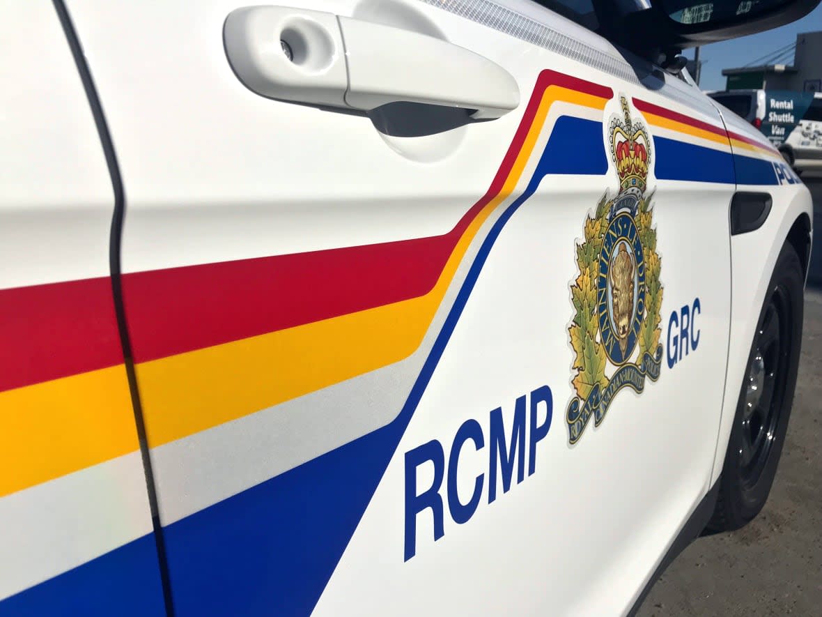 A Burton man died Friday in a single-vehicle crash on Highway 105 in Sheffield. (David Bell/CBC - image credit)