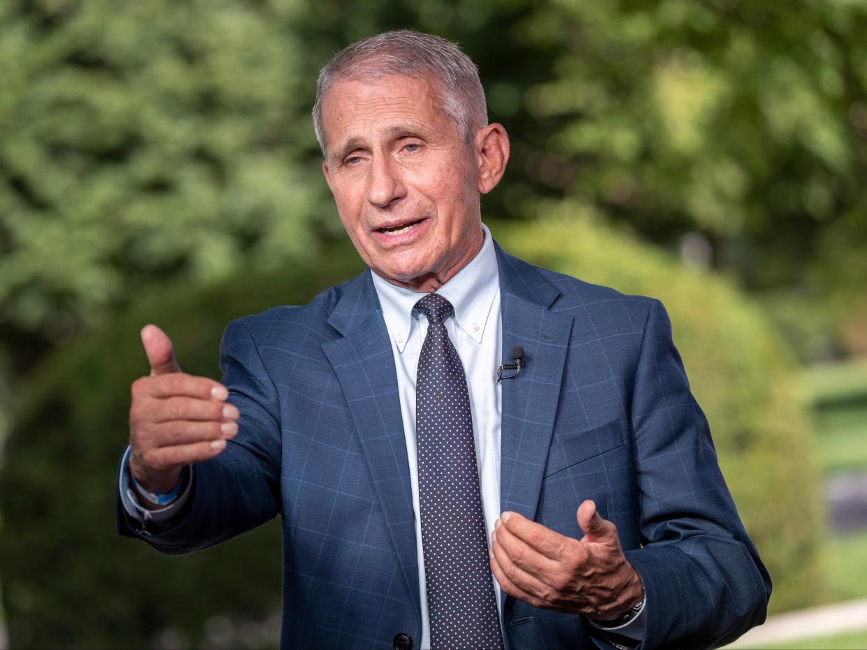 Anthony Fauci, director of the US National Institute of Allergy and Infectious Diseases (NIAID) participates in a television interview at the White House in Washington, DC, USA, 18 August 2021 (EPA)