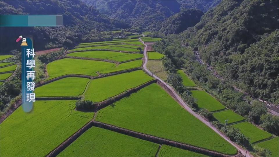 全球加速暖化　曬田及省水成重要關鍵