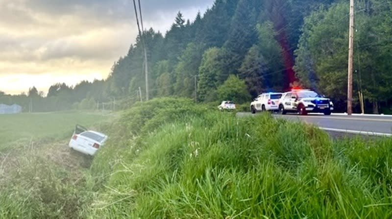 Lisa L. Sullivan of Cornelius was arrested after allegedly causing two crashes before going over an embankment along Highway 47 in Forest Grove, April 28, 2024 (Washington County Sheriff's Office)