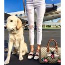 <p>"Off to Milan with my dog, Cashmere. We're ready for Gucci!"</p>