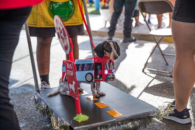 Thomas J. Henry Bark in the Park