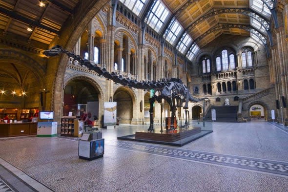Supporters plead for dinosaur Dippy