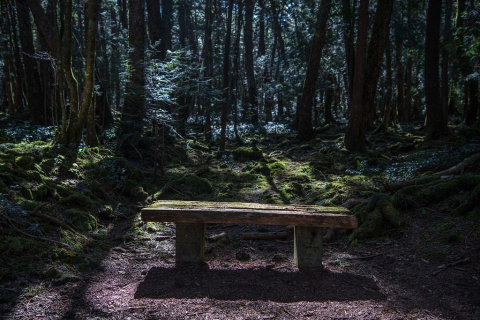 4) Aokigahara Forest, Japan
