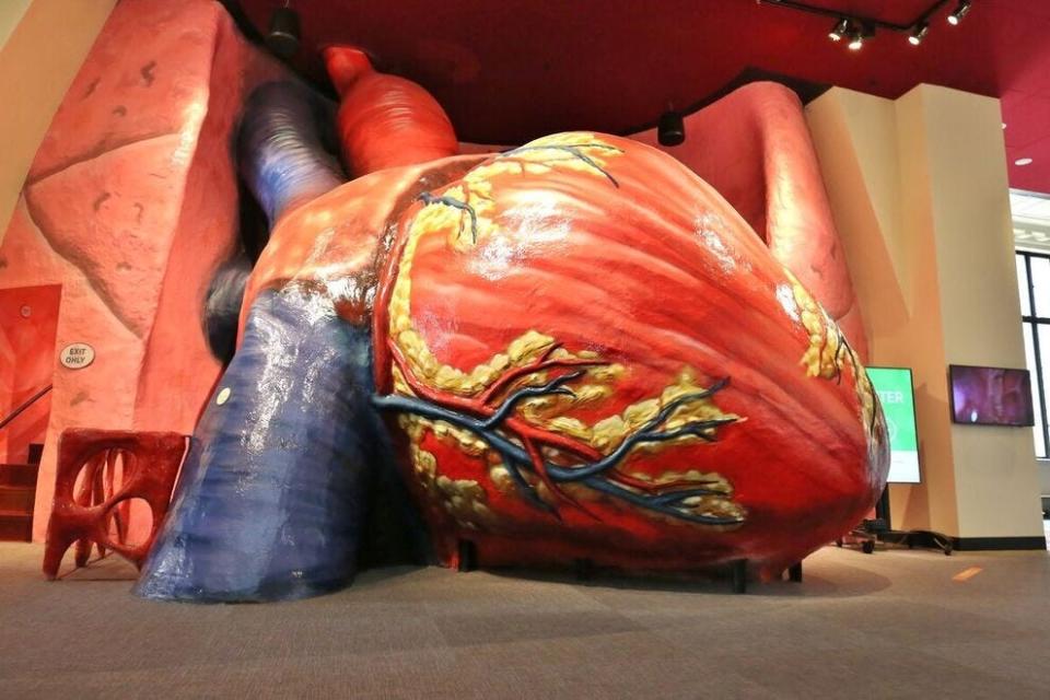 The Giant Heart at the Franklin Institute in Philadelphia.
