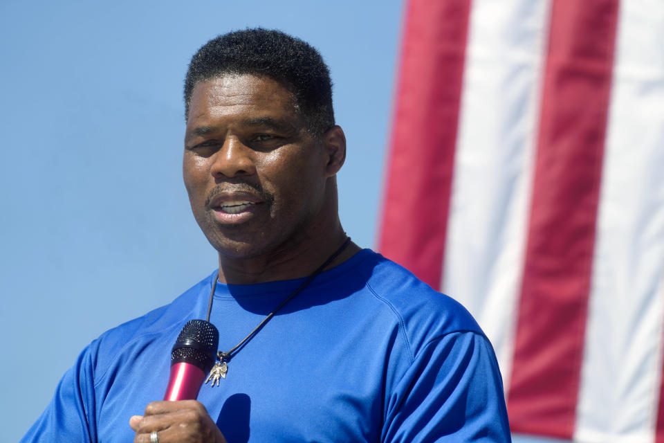 FILE - Georgia GOP Senate nominee Herschel Walker speaks during a campaign stop at Battle Lumber Co., Oct. 6, 2022, in Wadley, Ga. (AP Photo/Meg Kinnard, File)