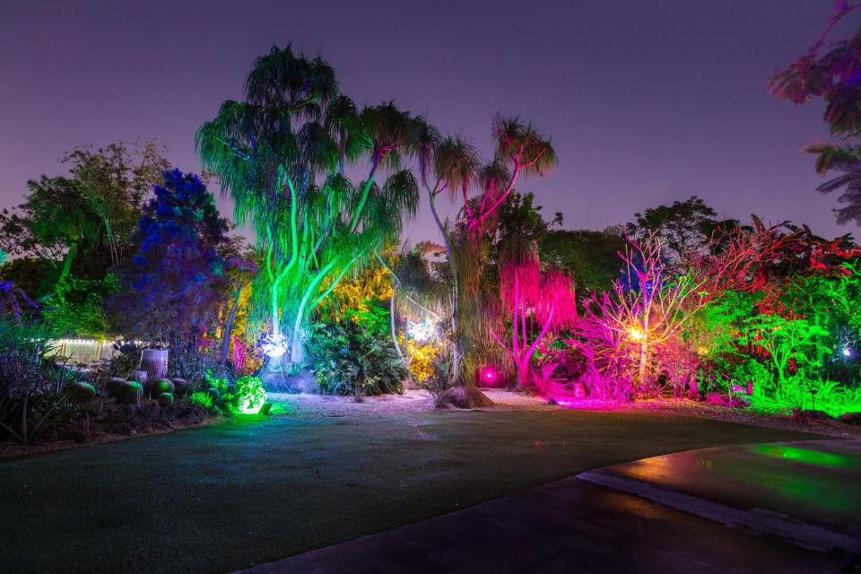 Don't miss Garden of Lights at Mounts Botanical Garden this holiday season as thousands of jewel-toned lights showcase the garden's lush landscape