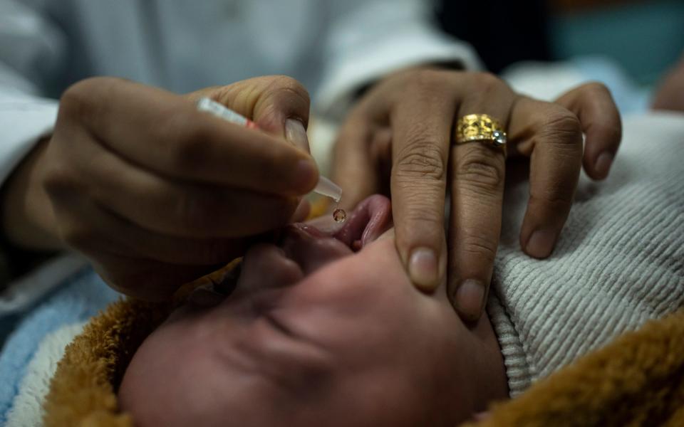 Palestinian children receive pentavalent vaccines – which protect against five potential killers – in Rafah