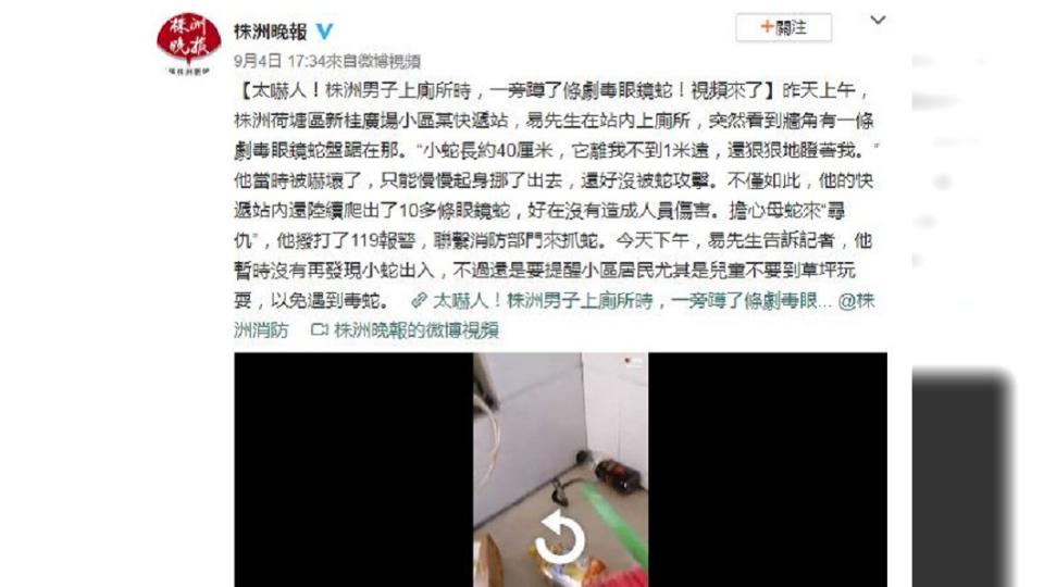 事後該處附近出現10幾條小蛇，警消人員去抓卻沒發現母蛇蹤跡。（圖／翻攝自株洲晚報微博）