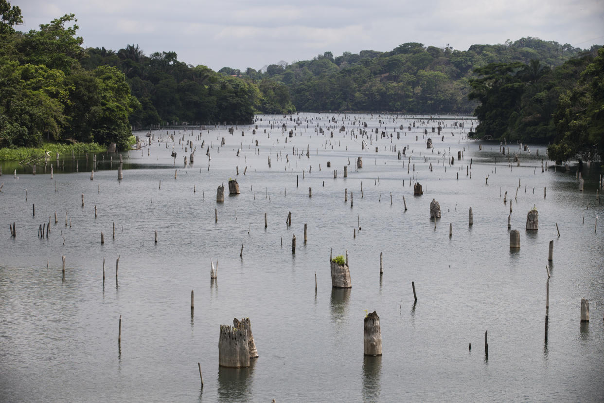 Antes de los problemas de agua, circulaban unos 38 barcos al día por el canal. En julio, las autoridades redujeron esa cifra a 32 buques. (Nathalia Angarita/The New York Times)