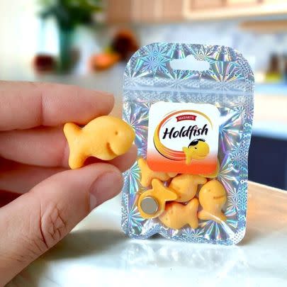 Some Goldfish-shaped magnets