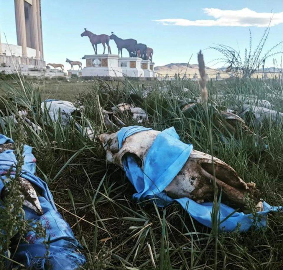 Horses have long been revered in the steppes of Inner Asia, as evidenced by the horse skulls and prayer flags at this racehorse monument in central Mongolia. William Taylor