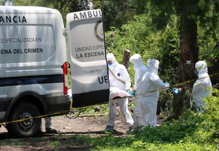 Forensic technicians carry a covered body at a crime scene where nine people were found dead in the municipality of Cuitzeo, in Mexico's western state of Michoacan July 30, 2016. REUTERS/Fernando Maldonado