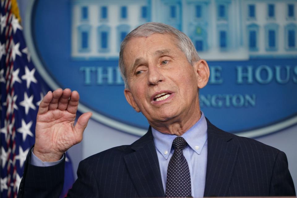 Dr. Anthony Fauci speaks during a briefing at the White House on Jan. 21. (Photo by Mandel Ngan/AFP via Getty Images)