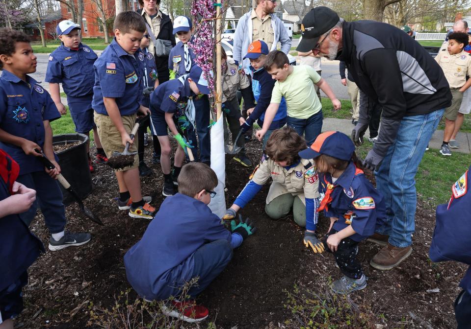 Local youth scout members, with the assistance of Jon Genereaux, right, with Tipton's Hidden Lake Gardens, plant the second of two trees on the grounds of the Tecumseh District Library Monday, April 22, 2024, during an Earth Day celebration. The trees were planted in memory of former Tecumseh Public Library staff member Jeannine M. Wilke.