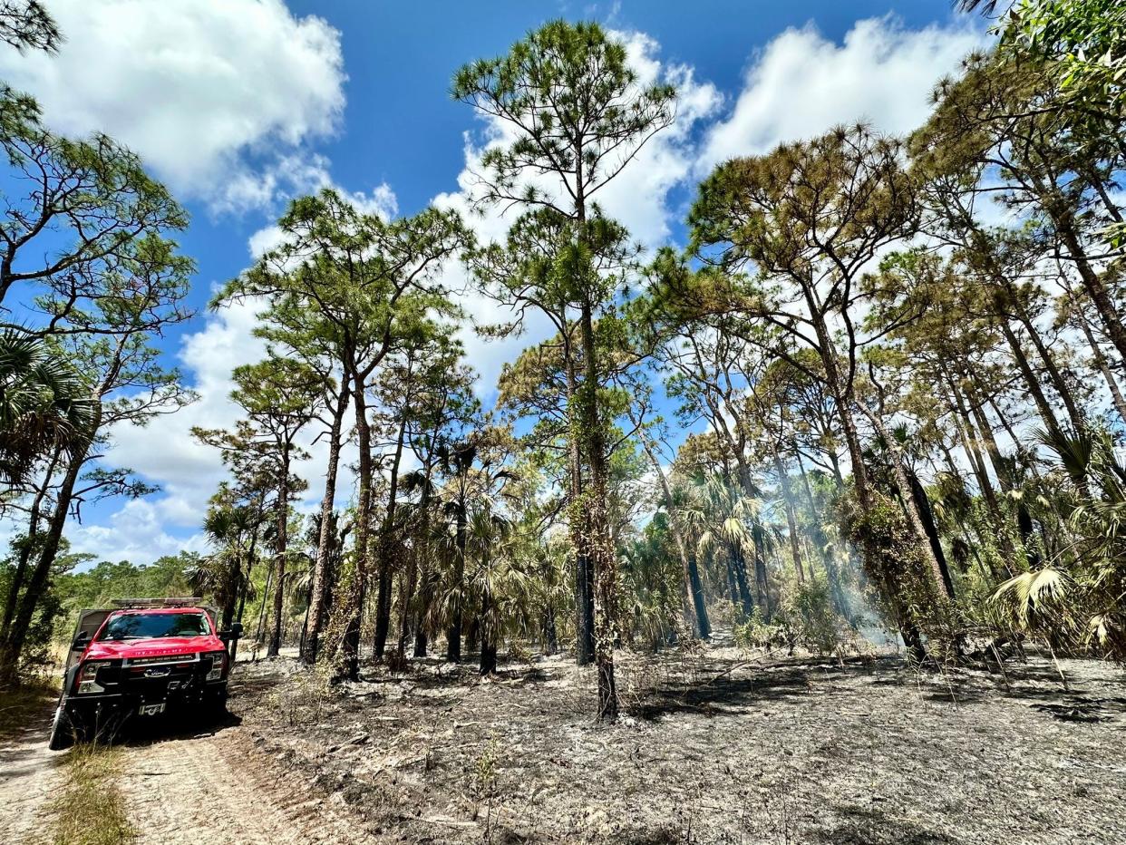 Martin County Fire Rescue and Florida Forest Service officials work to contain a 7-acre wildfire on Southwest Citrus Boulevard in Palm City reported April 28, 2024. The fire was 100 percent contained on April 29, 2024.