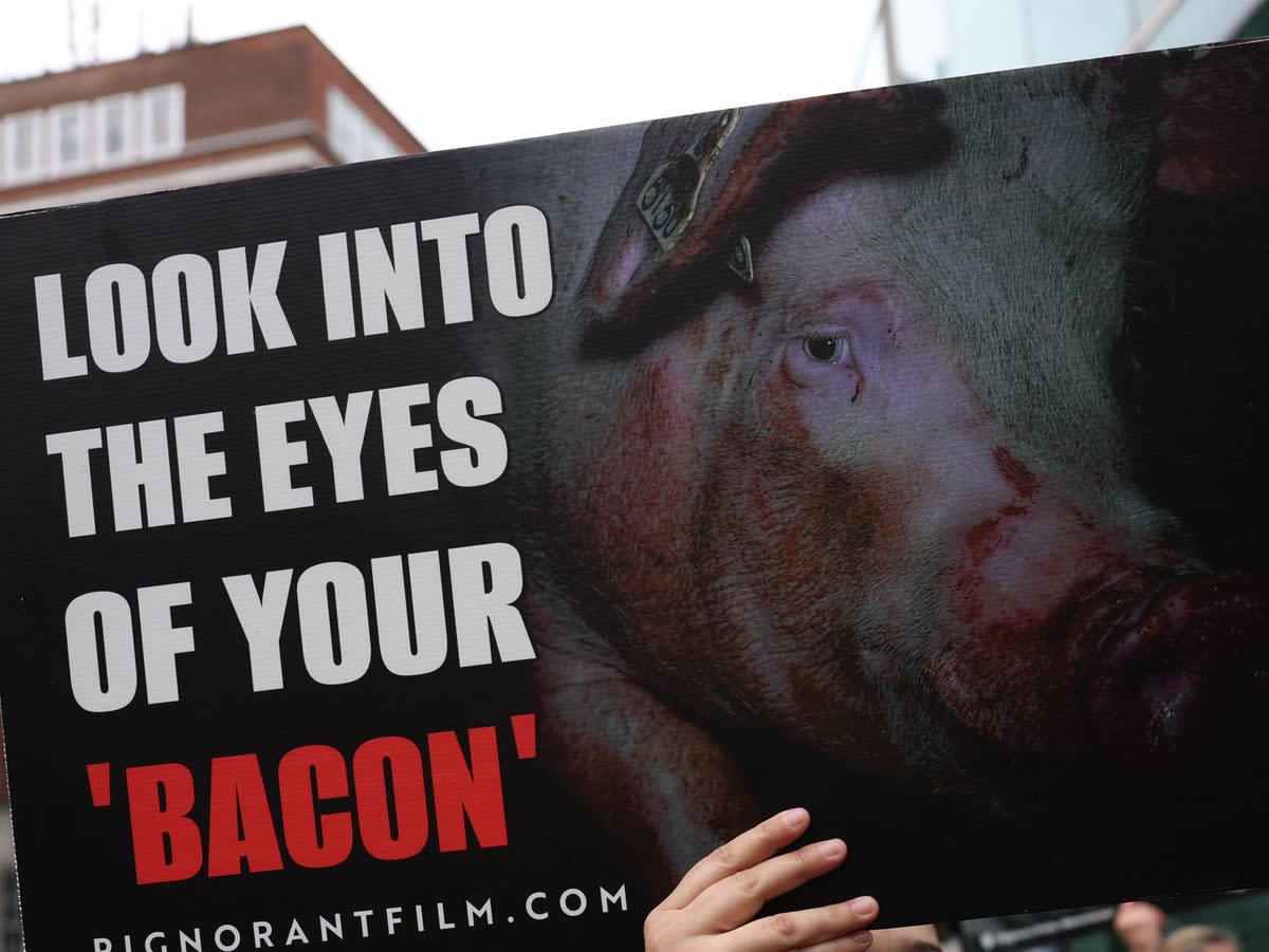 The protesters held up banners (PA)