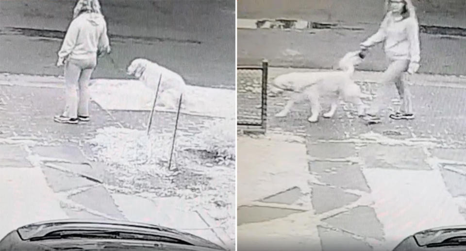 The woman was spotted on CCTV walking away from her dog’s feces. Source: Facebook/Steve Tamblyn