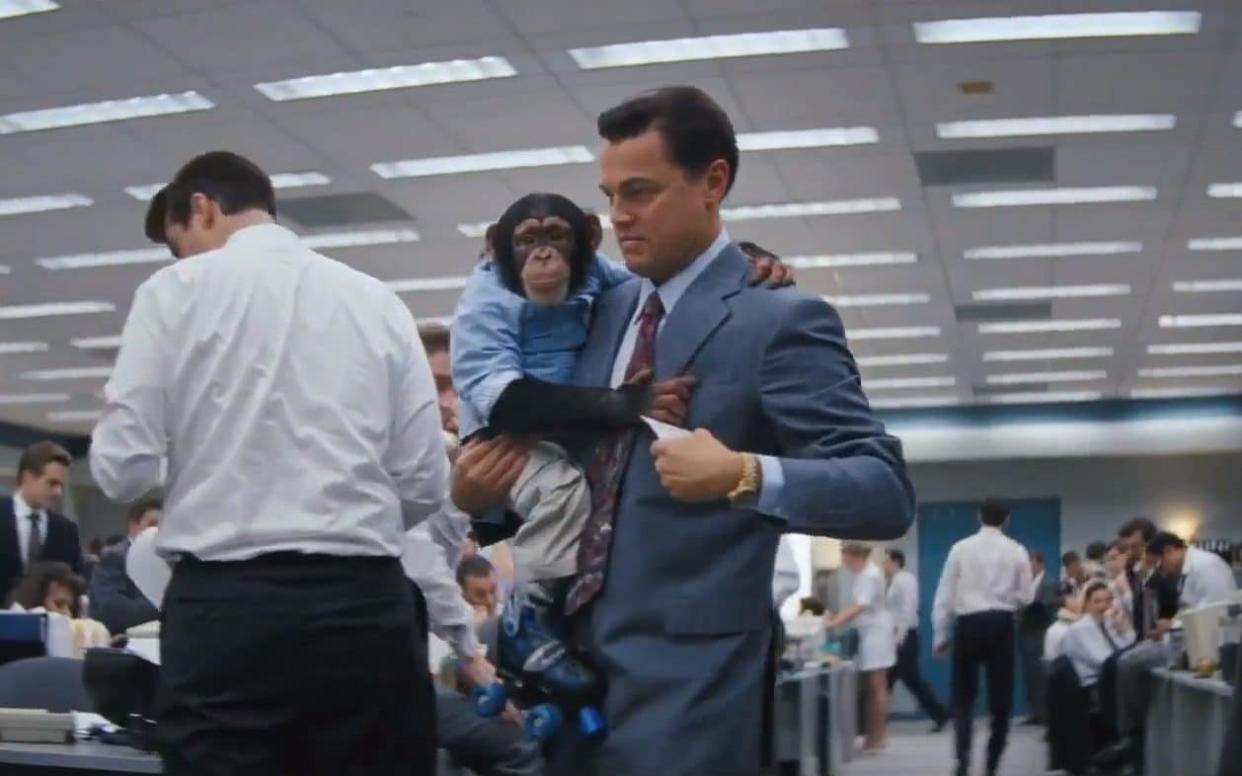 A chimpanzee represents the debauched mayem of Jordon Belfort's trading operation in The Wolf of Wall Street - Telegraph