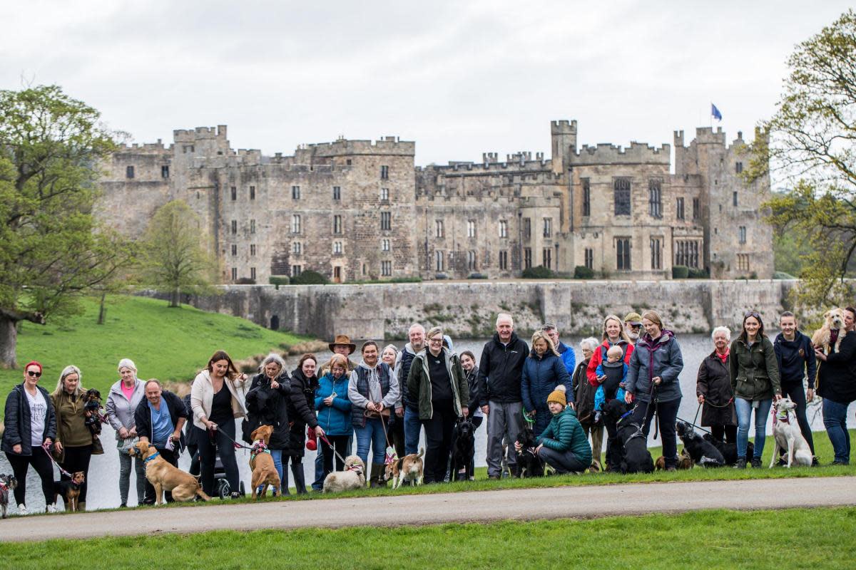 The Great British Dog Walk at Raby Castle. <i>(Image: STUART BOULTON)</i>