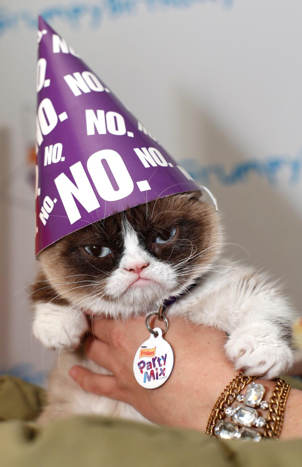 Grumpy Cat.