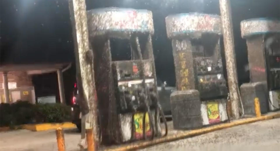 A little girl’s creeped-out reaction to the sight of a plague of bugs swarming a petrol station is caught on camera, as her family approached to fill up. Source: Junkin/Heather Alas