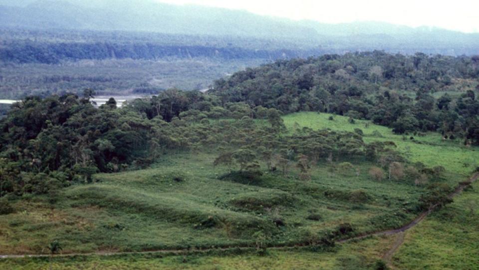 The 2,500-year-old roadways were discovered over a 230sq mile site in dense South American rainforest (Stéphen Rostain)