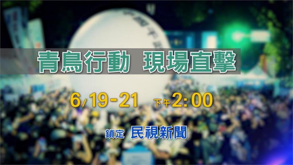 反藍白國會擴權青鳥重返立院！民視新聞「3主播」將進駐現場直擊