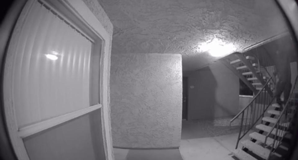 Screenshot from door camera. 