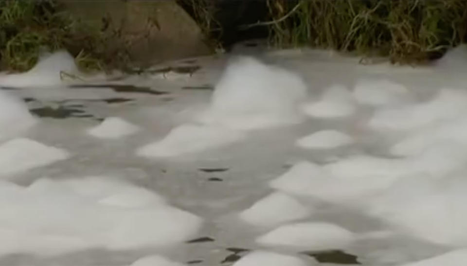 The foam has left residents distressed. Source: 7 News