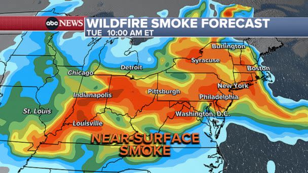 PHOTO: Weather map showing wildfire smoke forecast, June 5, 2023. (ABC)
