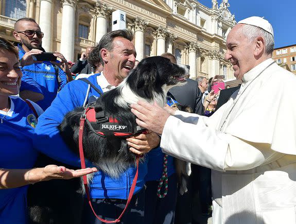 This dog looks very pleased to be meeting the Pope.