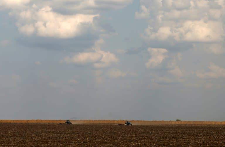 Unos agricultores cultivan un campo en la región ucraniana de Donetsk el 12 de abril de 2024 (Anatolii Stepanov)