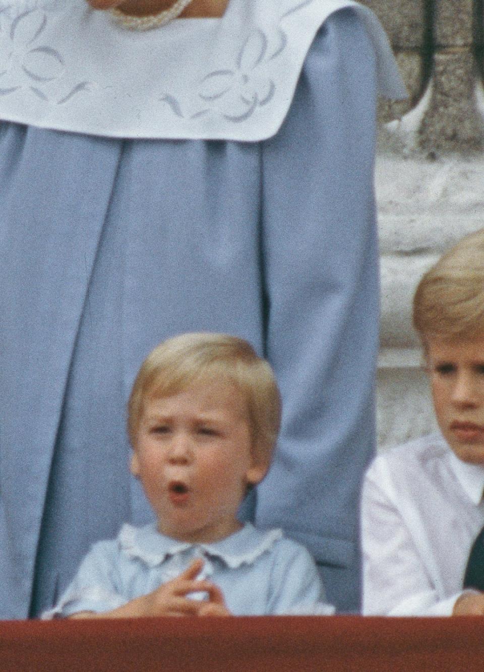 William's amazed reactions - just like Louis decades later