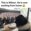 <p>Good to see other industries extending working from home policies</p><p><a href="https://www.instagram.com/p/B-aSINknslA/" rel="nofollow noopener" target="_blank" data-ylk="slk:See the original post on Instagram;elm:context_link;itc:0;sec:content-canvas" class="link ">See the original post on Instagram</a></p>